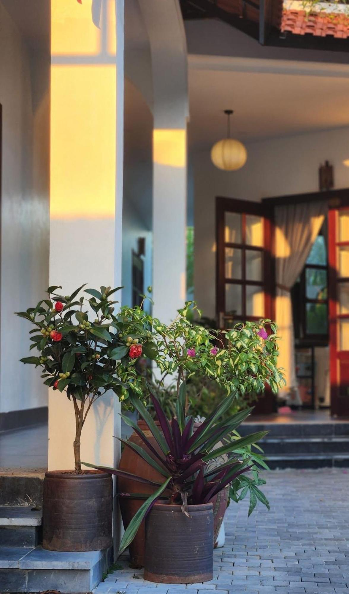 Anio Ha Giang Hotel Ngoại thất bức ảnh